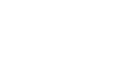Primefocus Health Logo